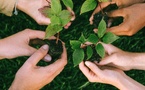 RSE et événementiel : zoom sur les caractéristiques d'un évènement d'entreprise responsable et éco-friendly